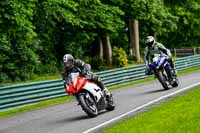 cadwell-no-limits-trackday;cadwell-park;cadwell-park-photographs;cadwell-trackday-photographs;enduro-digital-images;event-digital-images;eventdigitalimages;no-limits-trackdays;peter-wileman-photography;racing-digital-images;trackday-digital-images;trackday-photos